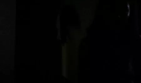 دختر متوسط ​​به دقت سگ خود را دمیده داستان سکس گی نوجوان است