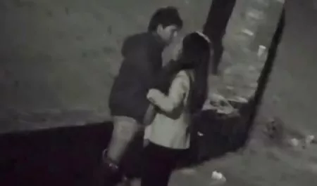 دو گربه بازیگوش برای آلت تناسلی پسر داستان سکسی گیها در حال جنگ هستند